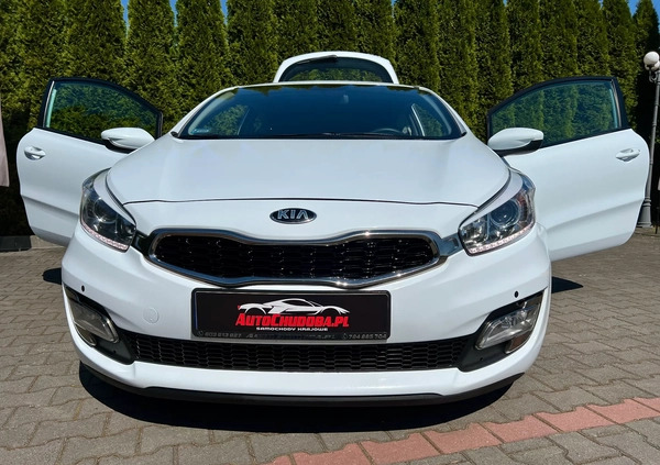 Kia Ceed cena 25900 przebieg: 216281, rok produkcji 2013 z Recz małe 704